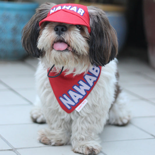 Pawgy Pets Personalised Dog Cap and Bandana: Red for Dogs & Cats