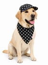 Black Star Denim Cap and Bandana Set | For Dogs | Pawgy Pets