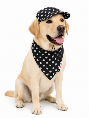 Black Star Denim Cap and Bandana Set | For Dogs | Pawgy Pets