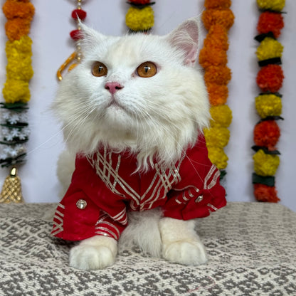 Pawgy Pet Festive kurta Red Gota (Cat)