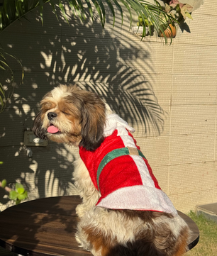 Pawgy Pets Christmas Outfit