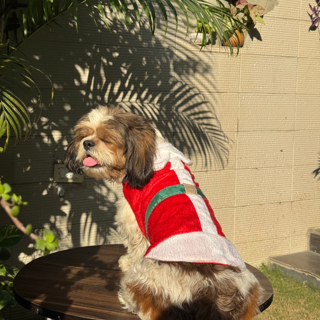 Pawgy Pets Christmas Outfit