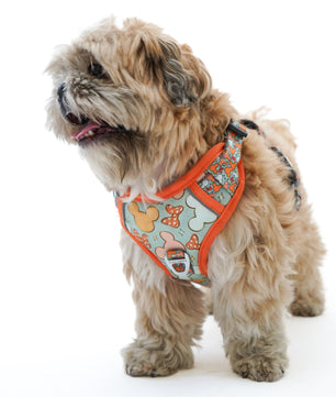 Pawgy Pets Padded Harness Mickey