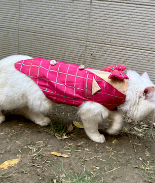 Pawgy Pets Desi Tuxedo Pink (Cat)