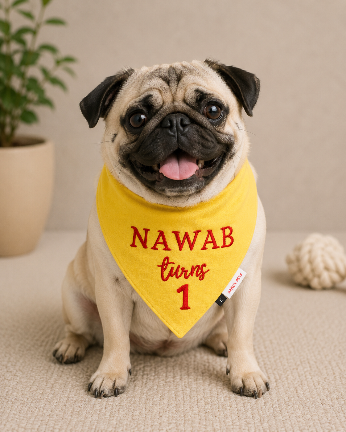 Pawgy Pets Customised Bandana for Birthday for Dogs & Cats