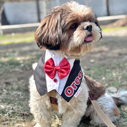 Pawgy Pets Personalised Formal Tux Bandana: Black for Dogs & Cats