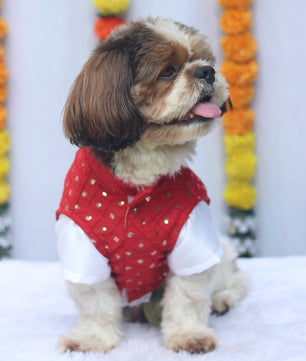 Pawgy Pets Pujo Kurta Red for Dogs