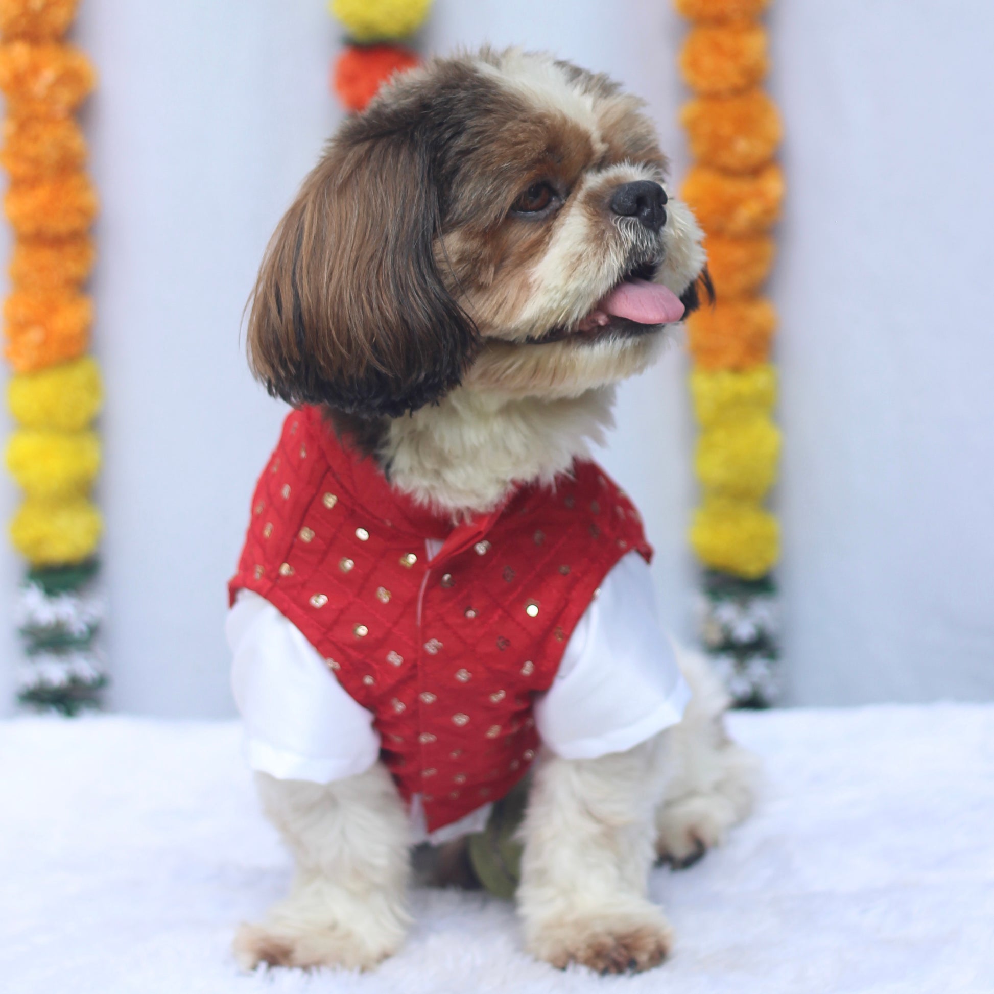 Pawgy Pets Pujo Kurta Red for Dogs