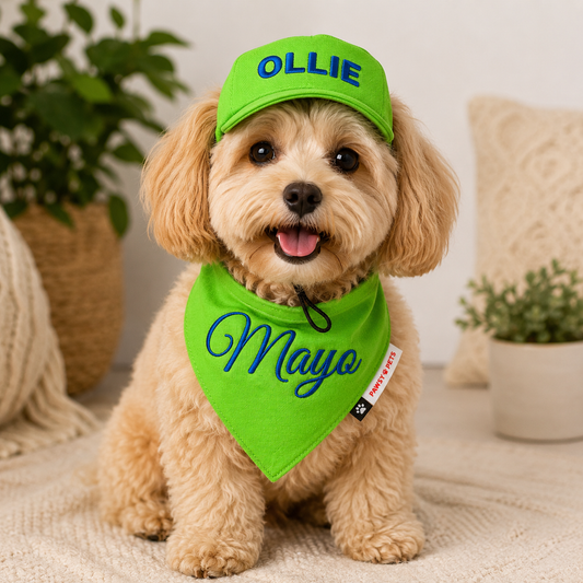 Lime Green Cap and Bandana Set | Personalised for Dogs | Pawgy Pets