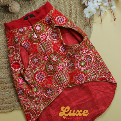 Red Embroidered Kurta | Luxe Collection | Pawgy Pets