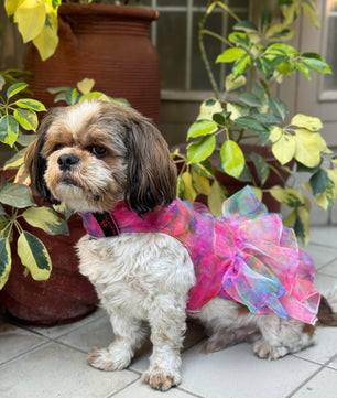 Pawgy Pets Frilly Dress Pink for Dogs