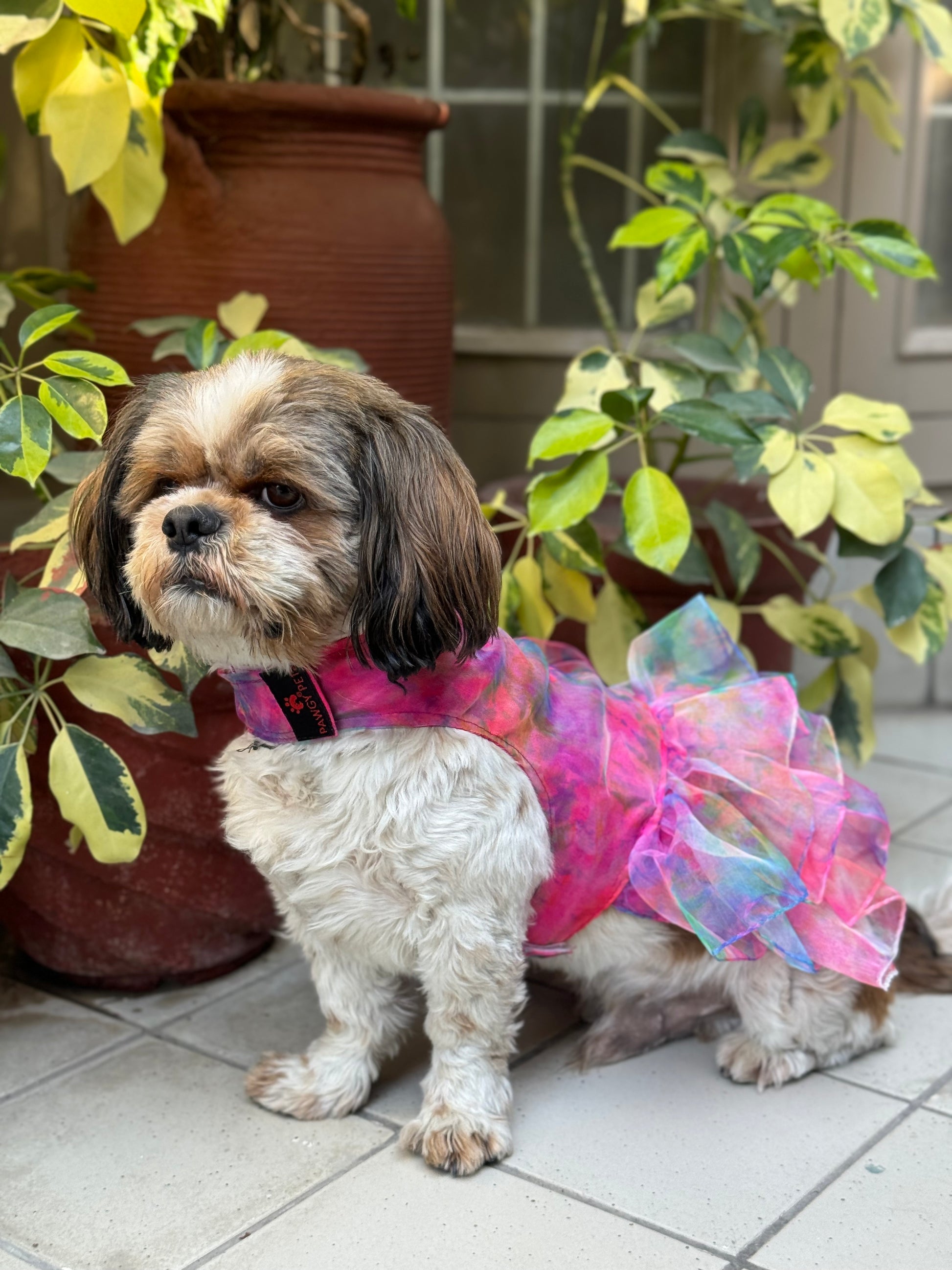 Pawgy Pets Frilly Dress Pink for Dogs