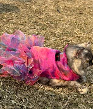 Pawgy Pets Frilly Dress: Pink Tie&Dye for Cats