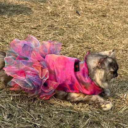 Pawgy Pets Frilly Dress: Pink Tie&Dye for Cats