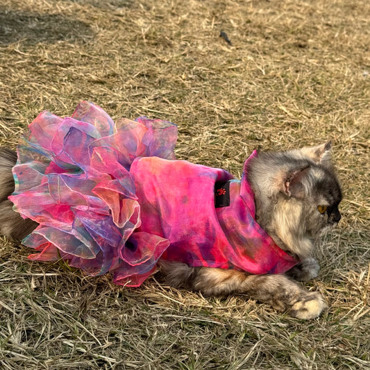 Pawgy Pets Frilly Dress: Pink Tie&Dye for Cats