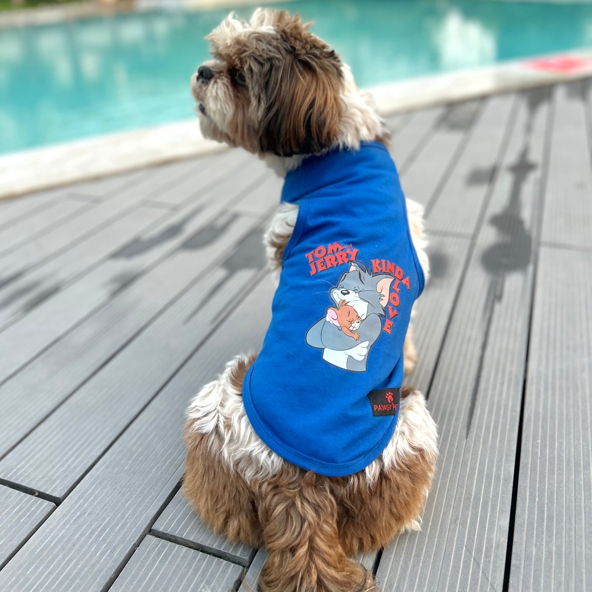 Pawgy Pets T-shirt Blue “Tom & Jerry kinda love” for Dogs & Cats