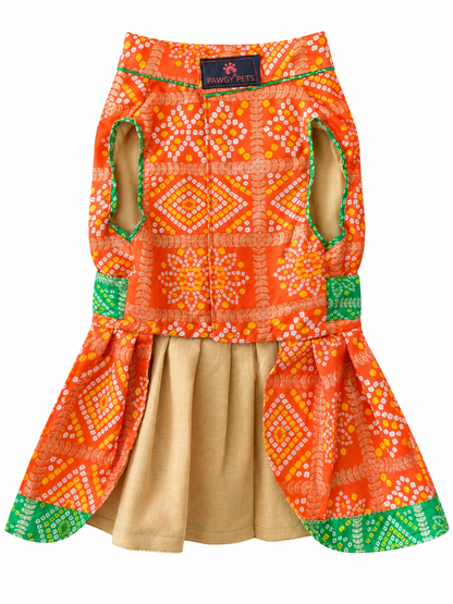 Festive Dress | Orange & Green | For Dogs | Pawgy Pets
