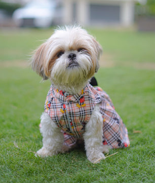 Pawgy Pets Mickey Check Dress Beige for Dogs