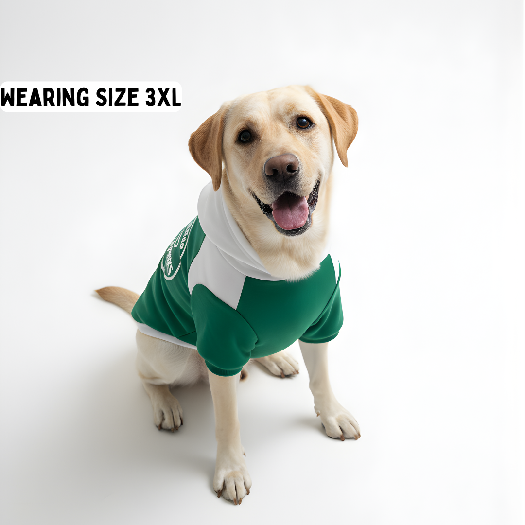 Pawgy Pets Furbarks Hoodie Pet Sweatshirt - Green