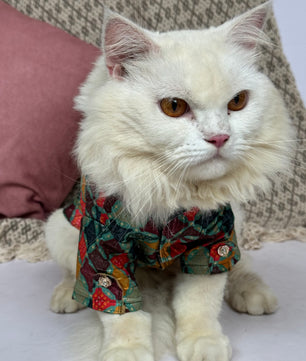 Pawgy Pets Silk kurta Multi: Cat