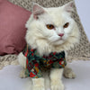 Multi Colour Silk Kurta | For Cats | Pawgy Pets