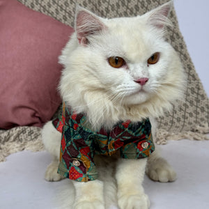 Multi Colour Silk Kurta | For Cats | Pawgy Pets