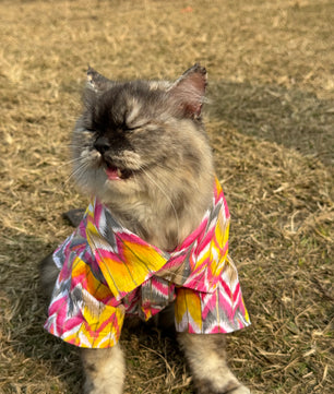 Pawgy Pets pink zig zag kurta for Cats
