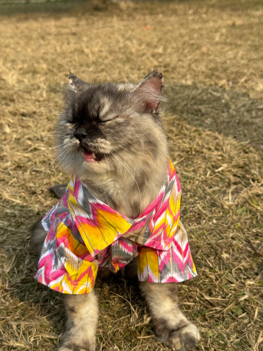 Pawgy Pets pink zig zag kurta for Cats