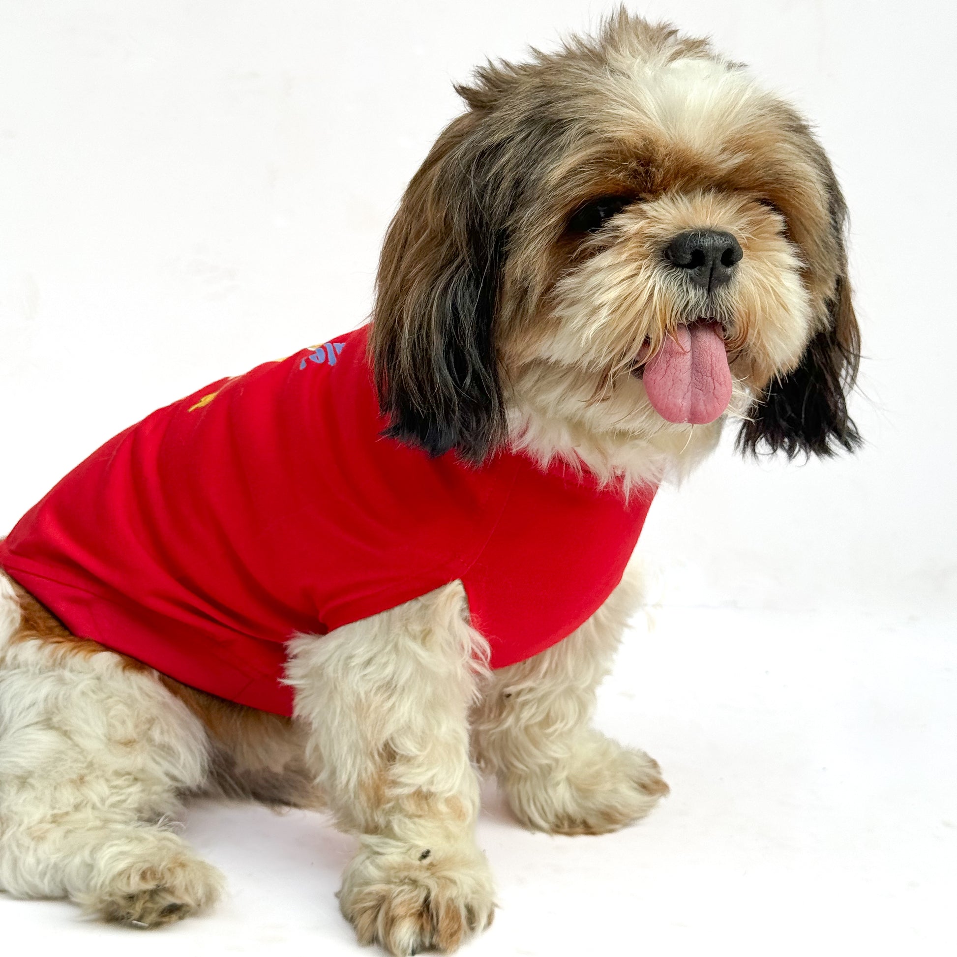 Pawgy Pets T-shirt Beery Cute Red for Dogs & Cats