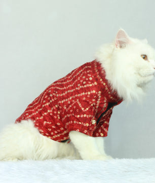 Pawgy Pets Red Bandani kurta for Cats