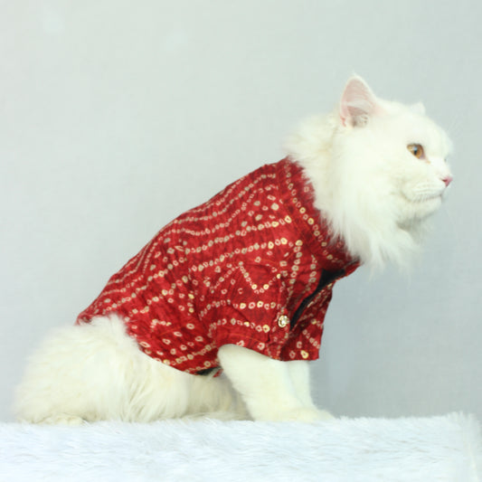 Pawgy Pets Red Bandani kurta for Cats