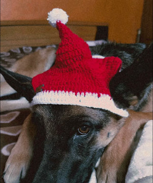 Pawgy Pets Christmas cap for Dogs