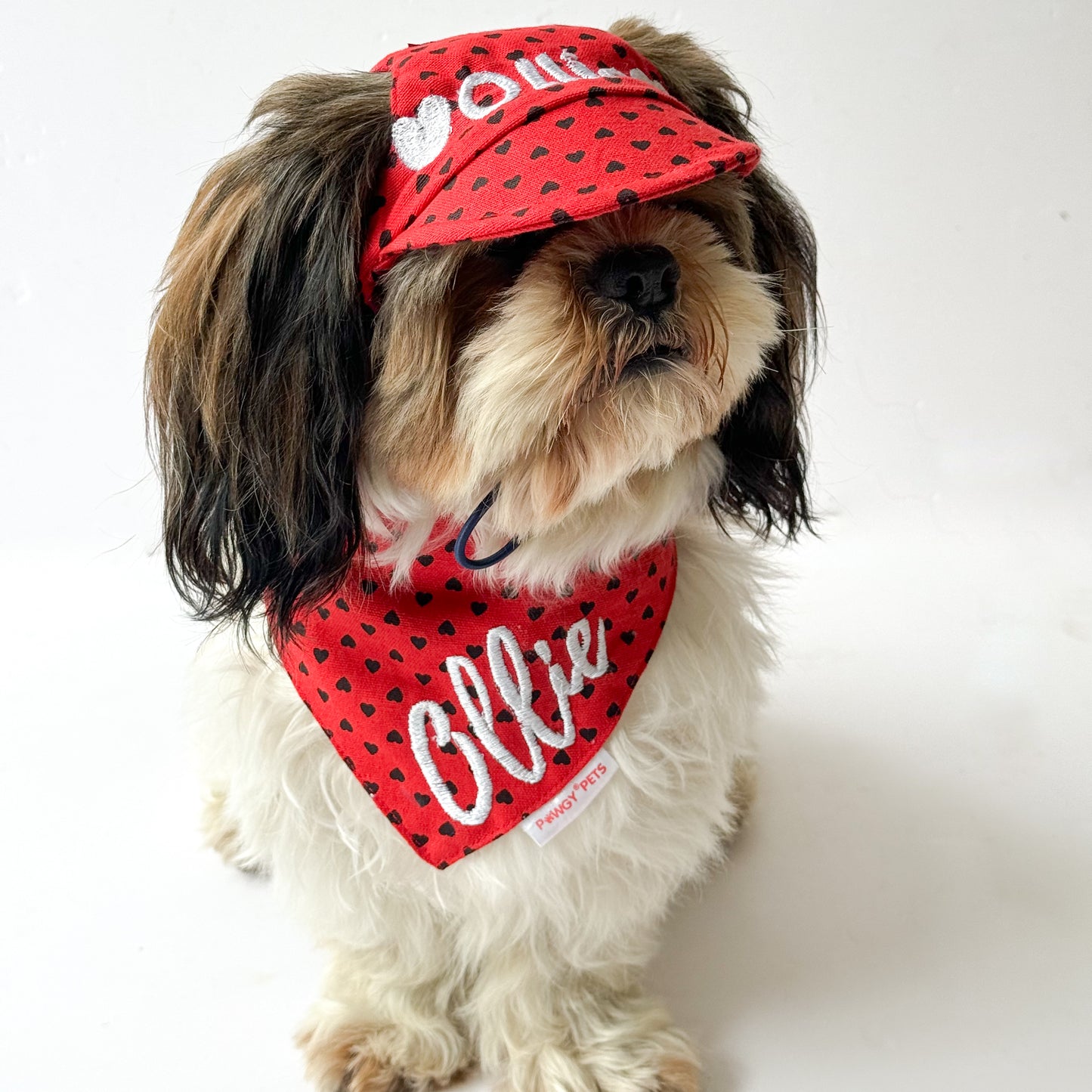 Pawgy Pets Personalised Dog Cap and Bandana: Red Hearts for Dogs & Cats
