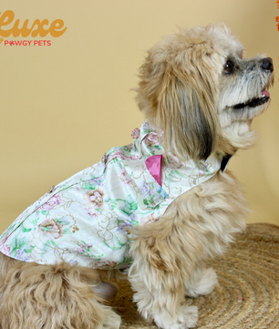 Luxe by Pawgy Pets Floral Sherwani White