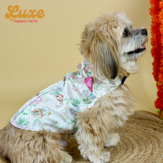 Luxe by Pawgy Pets Floral Sherwani White