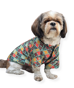 Pawgy Pets Silk Kurta: Multi for Dogs