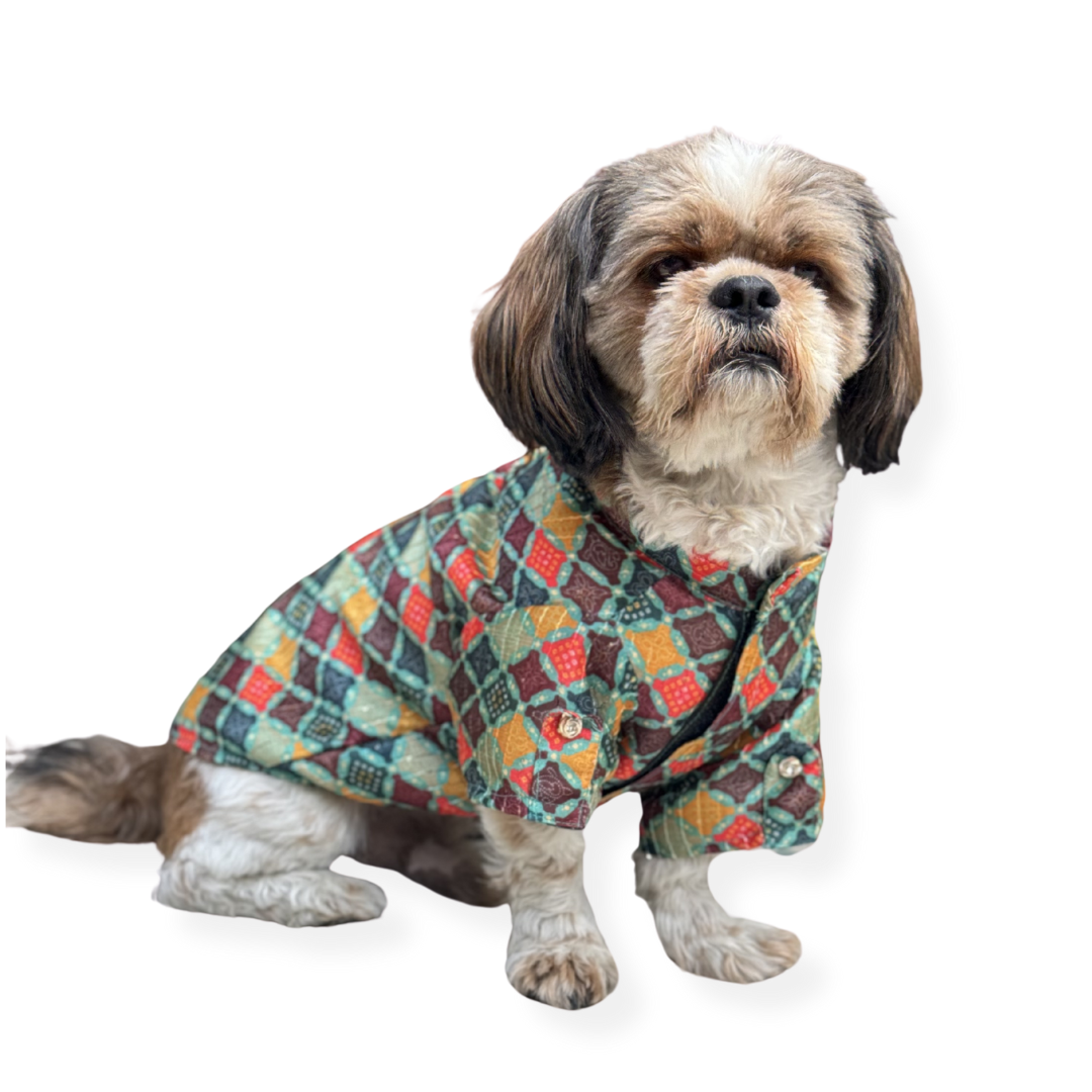 Pawgy Pets Silk Kurta: Multi for Dogs