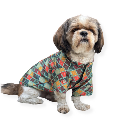 Pawgy Pets Silk Kurta: Multi for Dogs