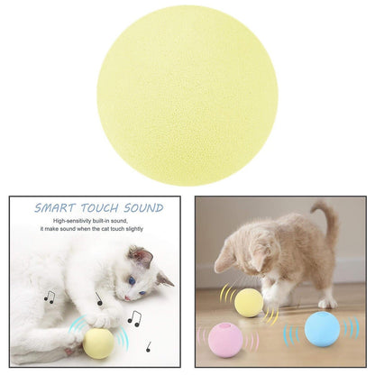 Smart Pet Toy Chirping Ball