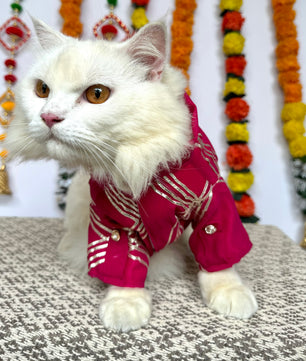Pawgy Pet Festive kurta Hot Pink Gota (Cat)