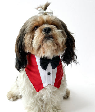 Pawgy Pets Formal Tux Bandana: Red for Dogs & Cats
