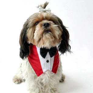 Pawgy Pets Formal Tux Bandana: Red for Dogs & Cats