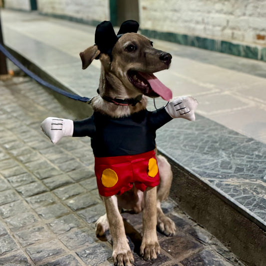 Pawgy Pets Mickey Mouse Dog Costume