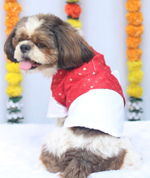 Pawgy Pets Pujo Kurta Red for Dogs