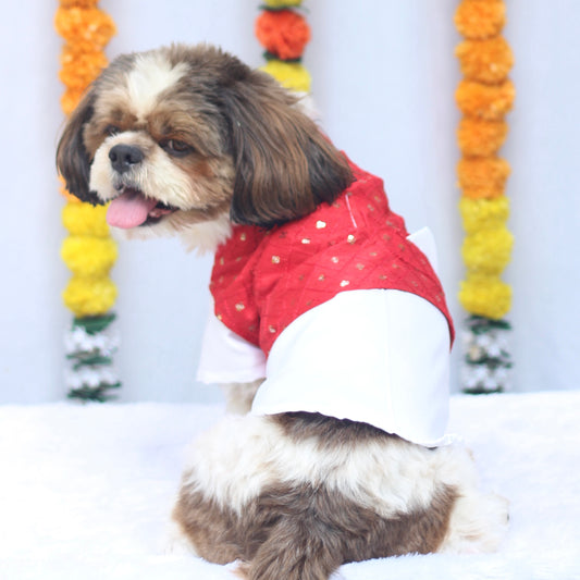 Pawgy Pets Pujo Kurta Red for Dogs