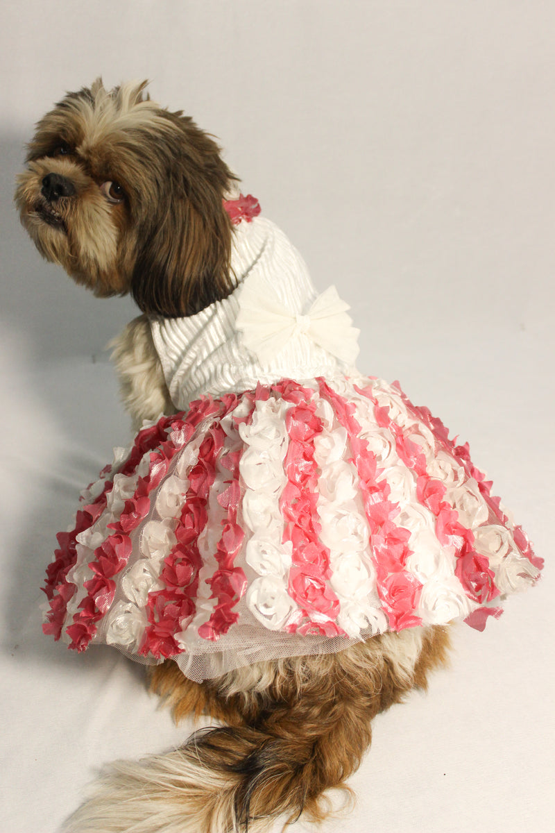 Silver Pink Floral Tutu Dress | Luxe Collection | Pawgy Pets