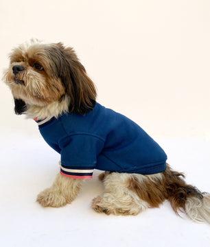 Pawgy Pets Candy blue Sweatshirt for Dogs & Cats