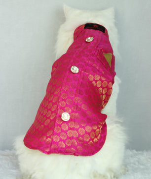 Pawgy Pets Sherwani Pink for Cats