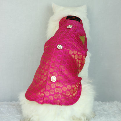 Pawgy Pets Sherwani Pink for Cats
