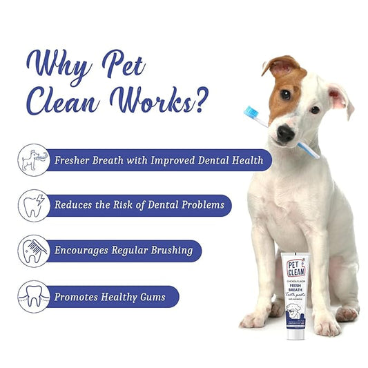 Pet Clean Dog Toothpaste Chicken Flavour, Dog Teeth Cleaner for Fresh Breath and Removes Plaque & Tartar, Suitable for Cats and Other Pets (100 gms, Chicken)